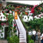 5e37d4f523000060006ececf