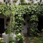 5e37d4f8220000350423e16c