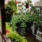 5e37d4f92400003000ed5ff7