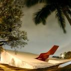 5e37d4bc230000fa066ece08