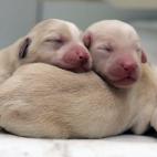 5d67919f3c00003300478242