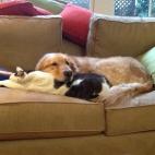 5d6791a23c00004e00478254