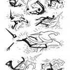 5c8acad53b000054066c9555