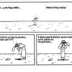 5c8acad6230000d50423b7a6