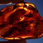 Luz a través del ámbar. Yacimiento Paleontológico de Rábago/El Soplao.