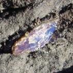 Ámbar entre dos capas arenosas.