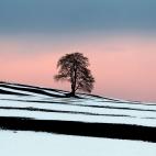 5c8ad3e42500001304c9b8e7