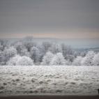 5c8ad3e42400006c05a3c353