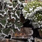 5c8ad3e4240000f404a3c355