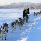 5c8ad3ea2500000d04c9b8f1