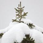 5c8ad3ea240000f404a3c361