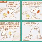 5c8ad4222400000a05a3c3e5