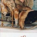 5c8ad3302500000d04c9b77e