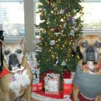 5c8ad34d250000520681d207