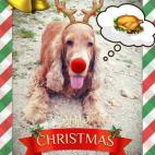 5c8a4bff260000f903fe2a65