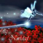 5c8a4c0036000006186b4b21