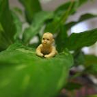 5c8a78582400006d054be46e