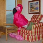 5c8a785d2500000704c9148d