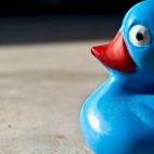 5c8a785e230000d504232462