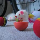 5c8a78622500001304c91495