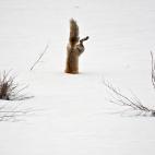 2012 National Geographic Photography Contest