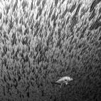 2012 National Geographic Photography Contest