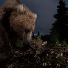 2012 National Geographic Photography Contest