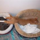 5c8ad776360000a61b6c2b32