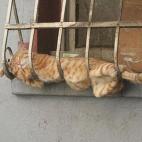 5c8ad7772000009d036fd958