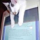 5c8ad7783b000054066cac4c