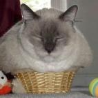 5c8ad7782400006d054c8dbf