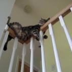 5c8ad77920000043046fd95c