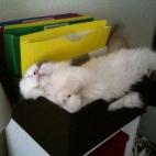 5c8ad77a220000310019fa0a