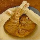 5c8ad77a220000510019fa0c