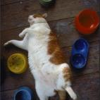 5c8ad77b2500000704c9bed1