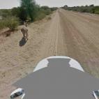 5c8ad8443b000054066cad63