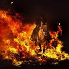 5c8ad8463b000070066cad69