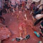 5c8a9c43250000e203c944e5