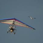 5c8acb23360000e01c6c1537