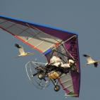 5c8acb25250000e203c9a8c2