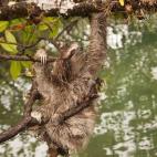 Copyright Craig Turner