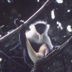 Copyright Sheila Curtin