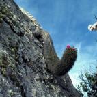 Copyright Frank Kattermann