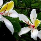 Copyright Quentin Luke