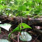 Copyright Viola Clausnitzer