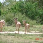 Copyright Tim Wacher