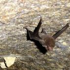 Copyright Justin Gerlach