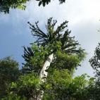 Copyright Olivier Hamerlynck