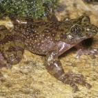 Copyright Atherton de Villiers