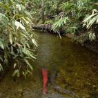 Copyright Sarafutsu Itou no Kai